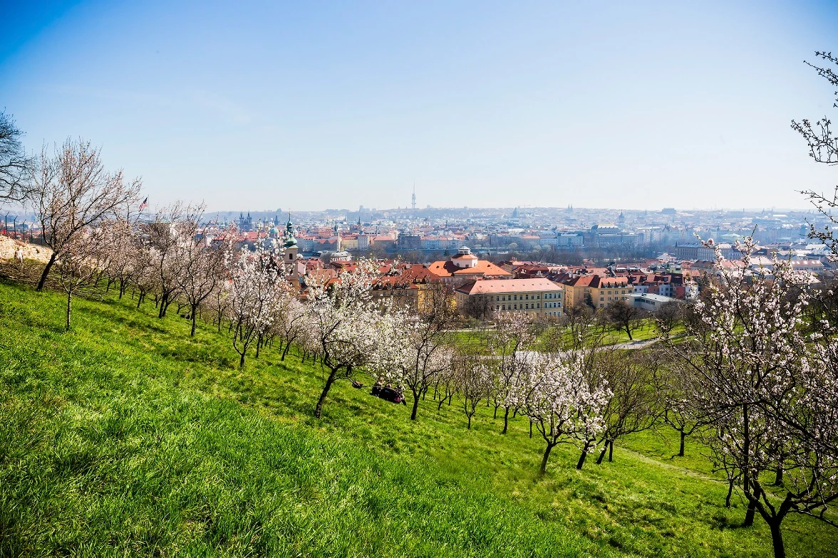 Petřínské sady | Zdroj: Prague City Tourism