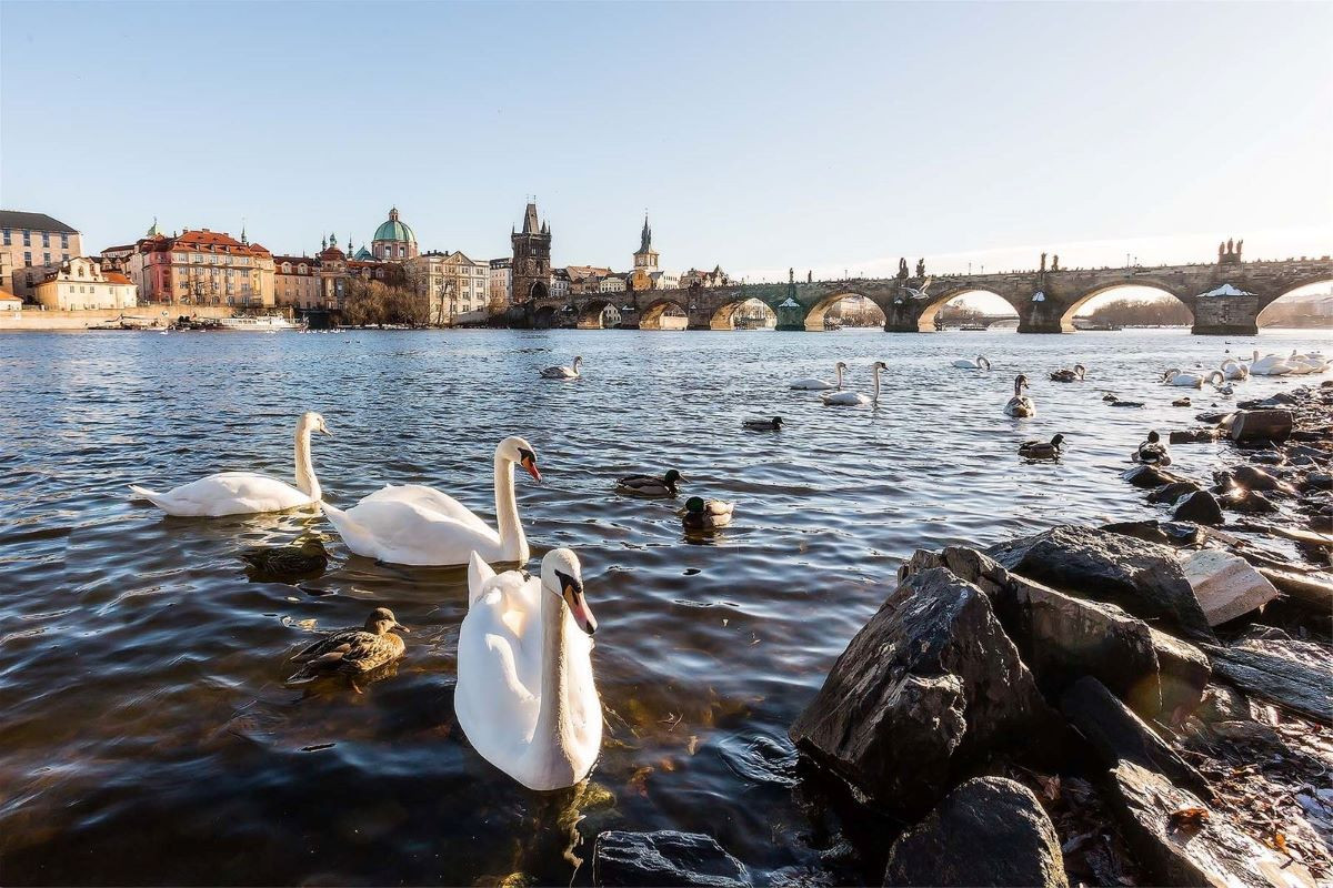Zdroj: Prague City Tourism
