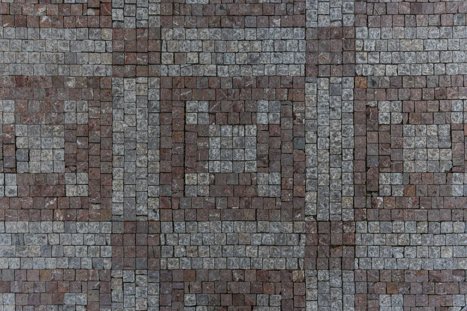 Draci