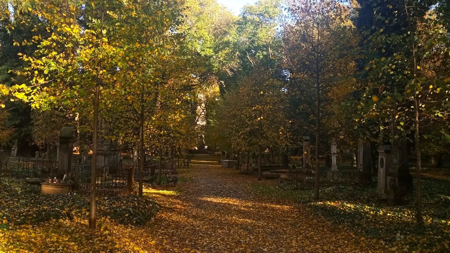 Malostranský hřbitov | Zdroj: www.facebook.com/MalostranskyHrbitov