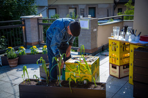 Senior se stará o záhony s květinami na terase Komunitního prostoru Smíchov.
