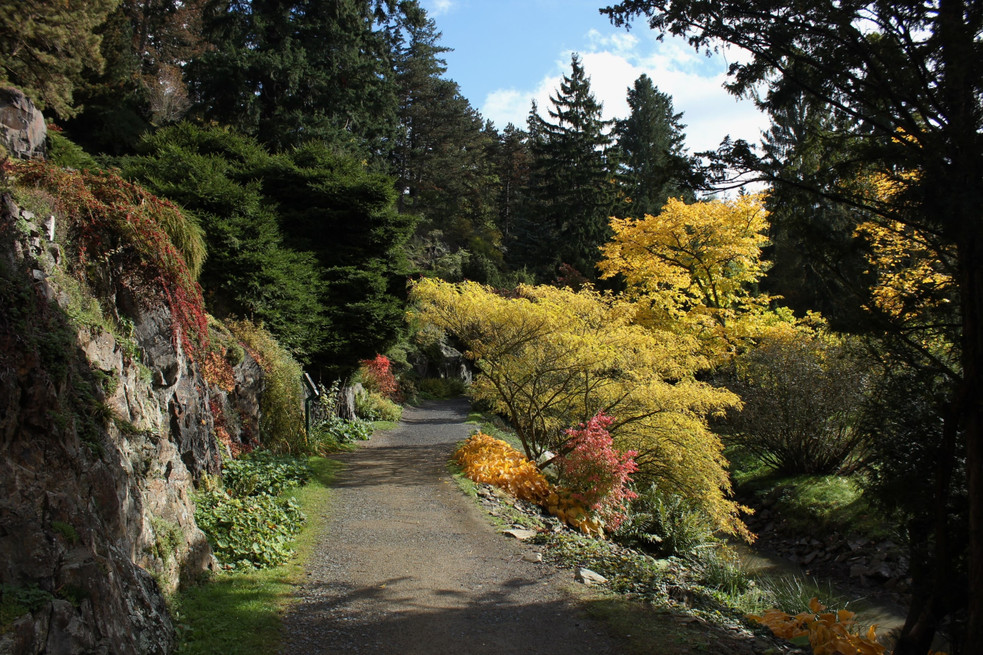 Zdroj: www.pruhonickypark.cz