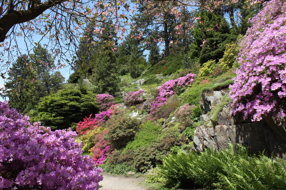 Zdroj: www.pruhonickypark.cz