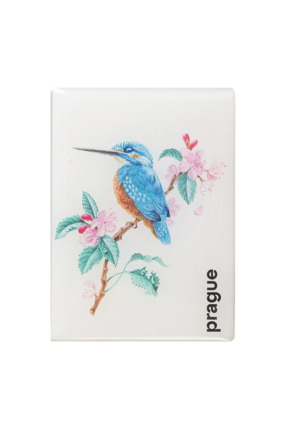 Magnety s pražskými památkami - Ledňáček