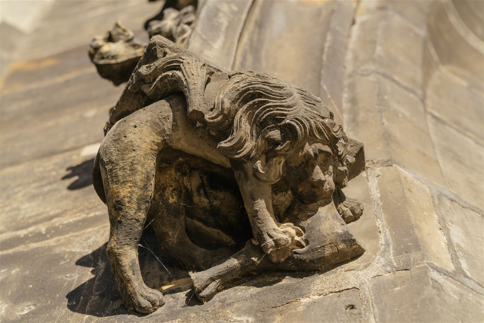 Lev v ulicích | Prague City Tourism