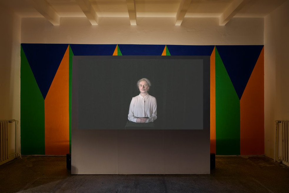 Video-installation in the gallery.