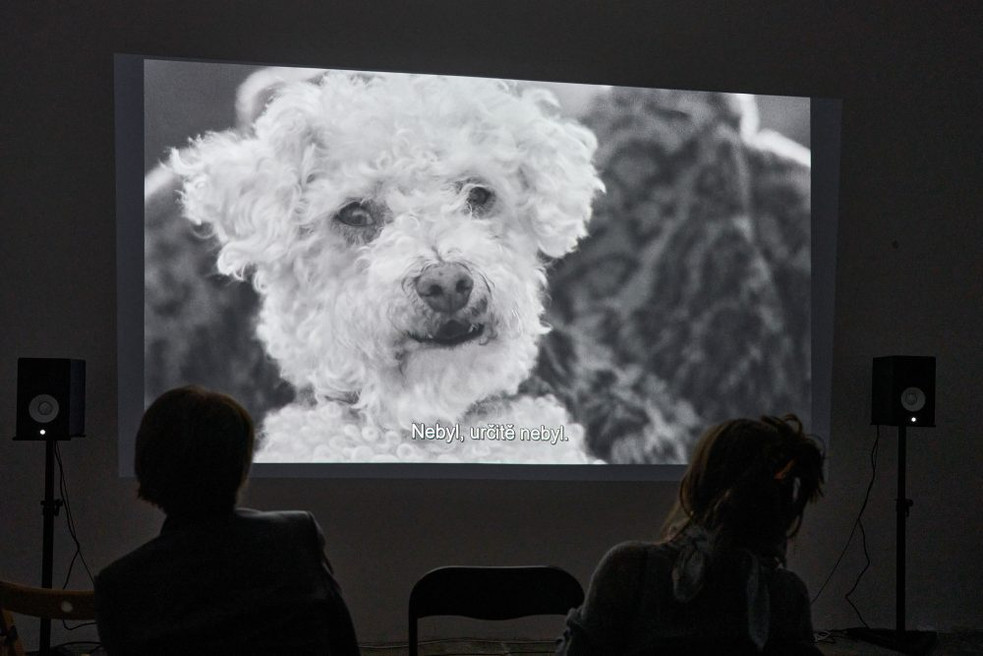 Projection in the gallery.