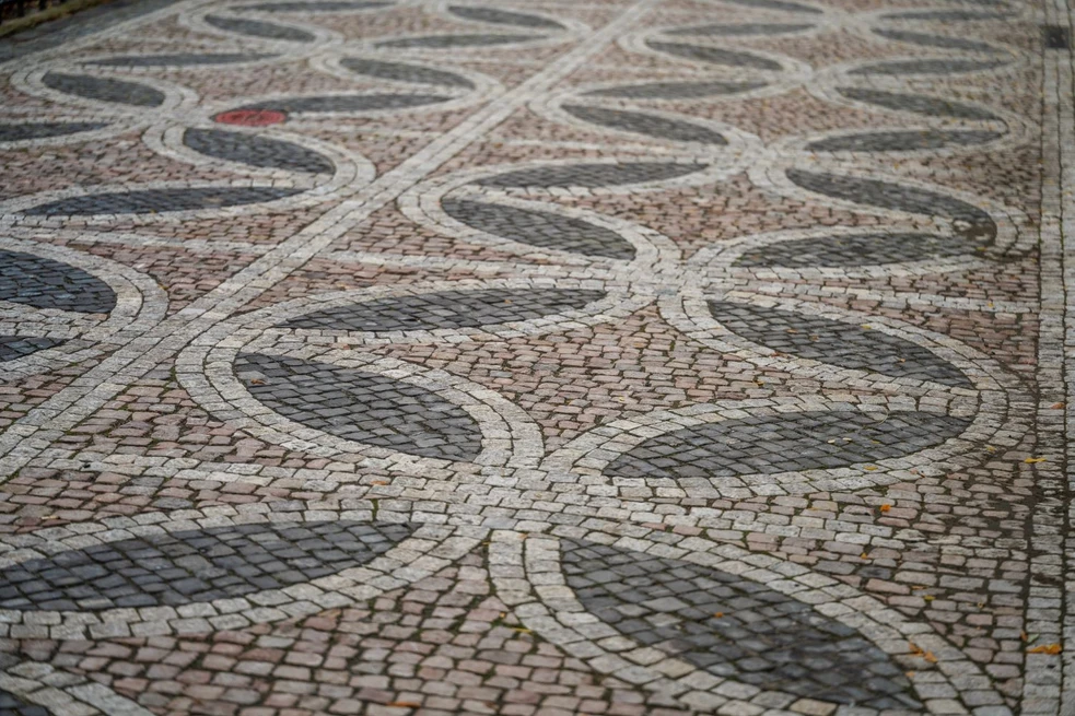 Foto: David Vančišin
