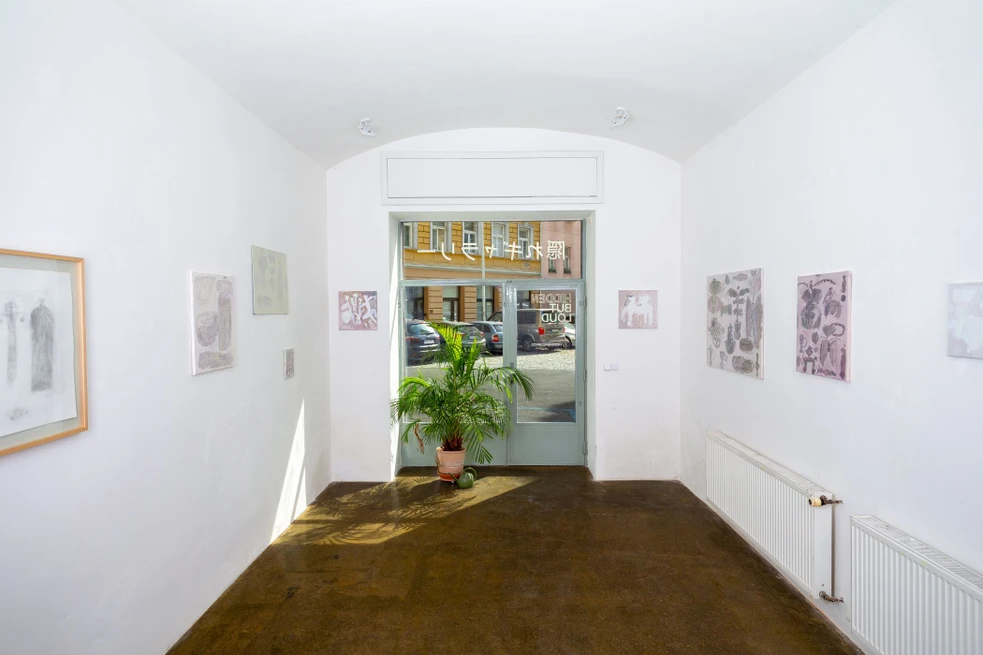 galerie, interiér