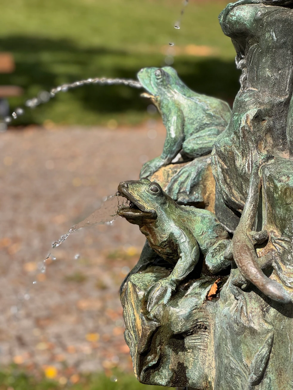 Malostranské kuriozity: žabák, foto Marika Čepková Prague City Tourism