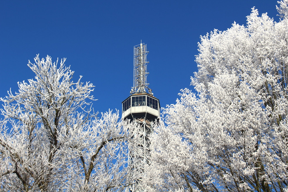 Petřín v zimě