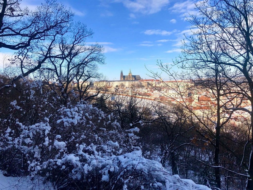 Pražský hrad z Petřínských sadů